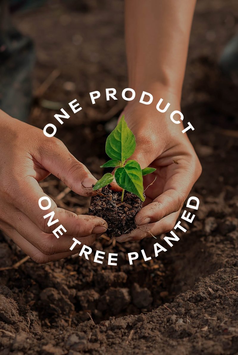 banners us onetreeplanted 1440x2148 cdcf908e 1e31 4a6d 9fb5 388cf9537304